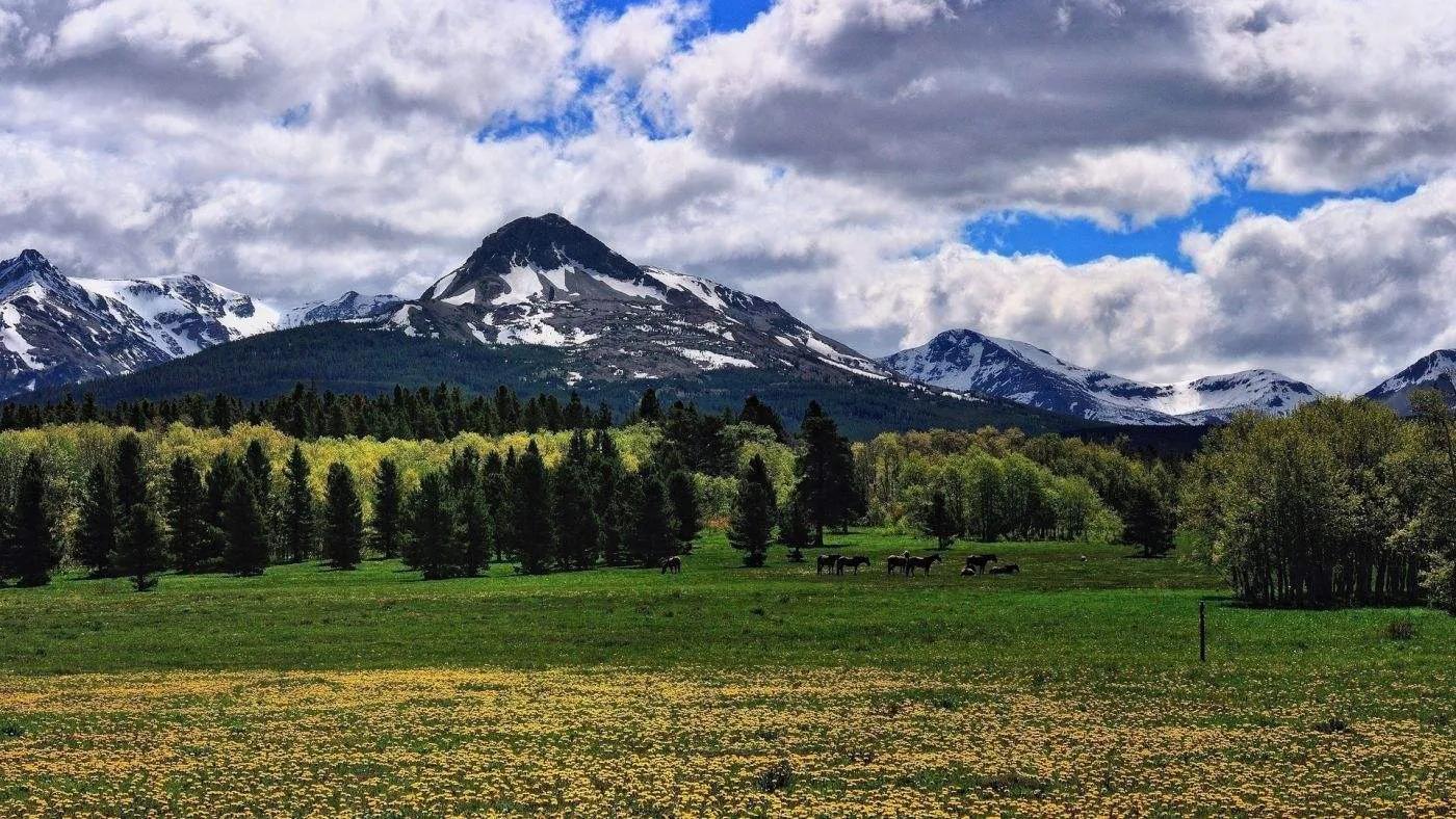 美国各州gdp排名及州府,美国50大城市GDP排名2020年