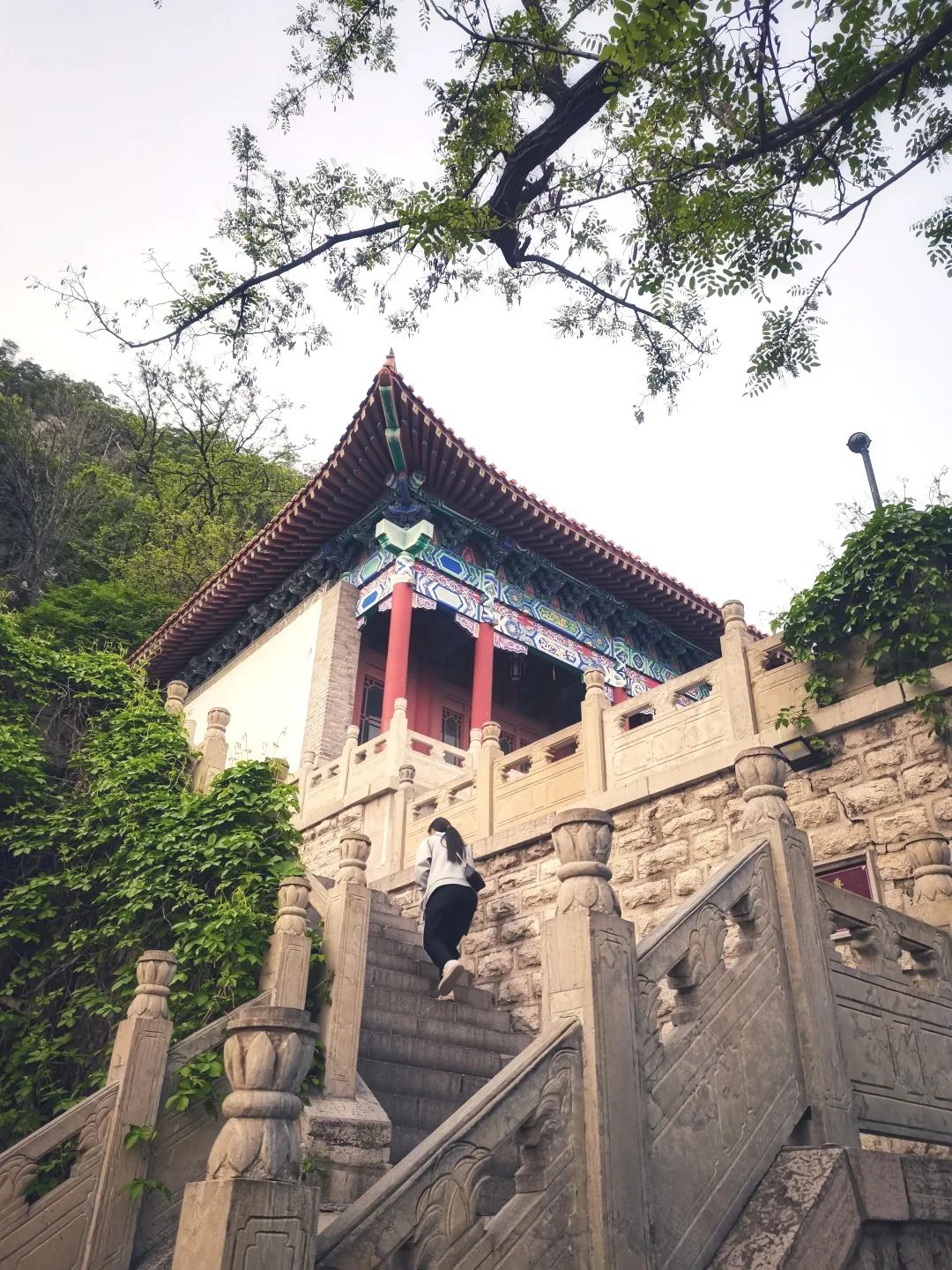 夜爬济南千佛山看日出,夜爬千佛山攻略