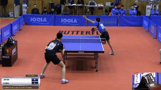 搜索30个乒乓球比赛冷知识,乒乓球的冷知识科普