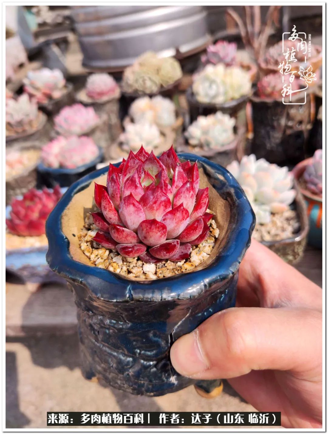 活在当下珍惜眼前平凡的生活,活在当下感慨万千