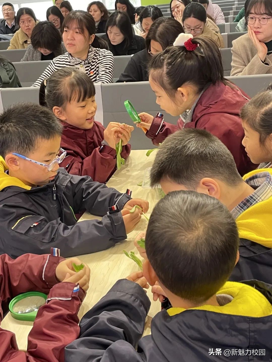 小学教育党建工作课题,中小学党建课题