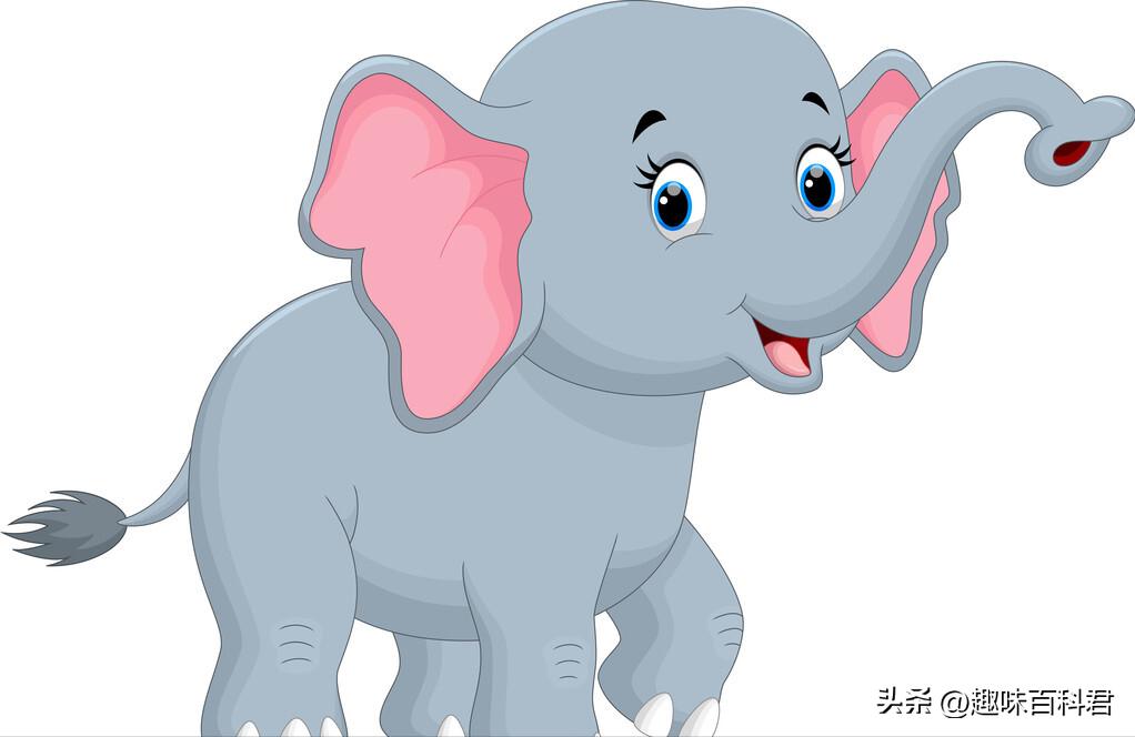 脑筋急转弯大全及答案爆离谱版,脑筋急转弯大全及答案和解释