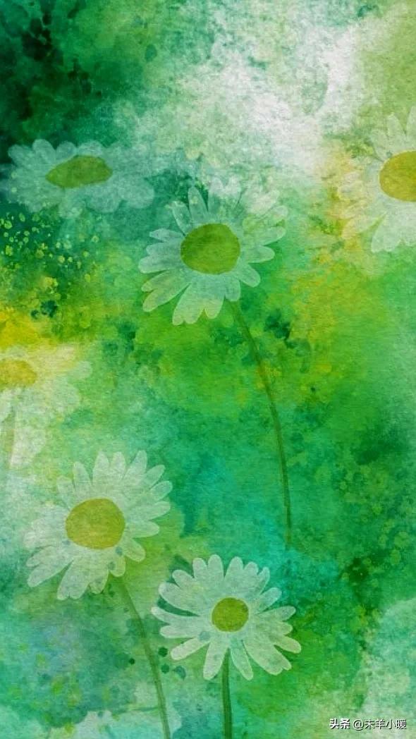 超清超美独一无二手机壁纸图片,养眼养心的壁纸