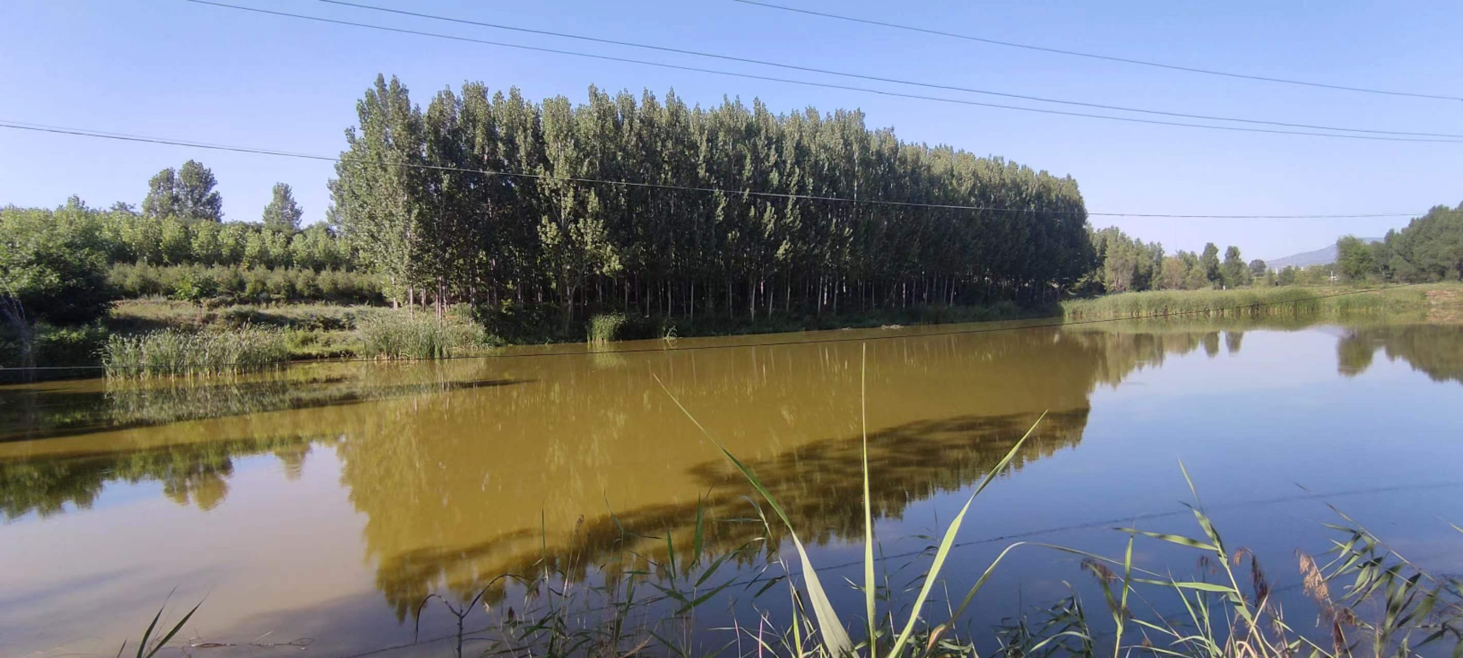 古中国考出彭蠡泽｜张笔魁