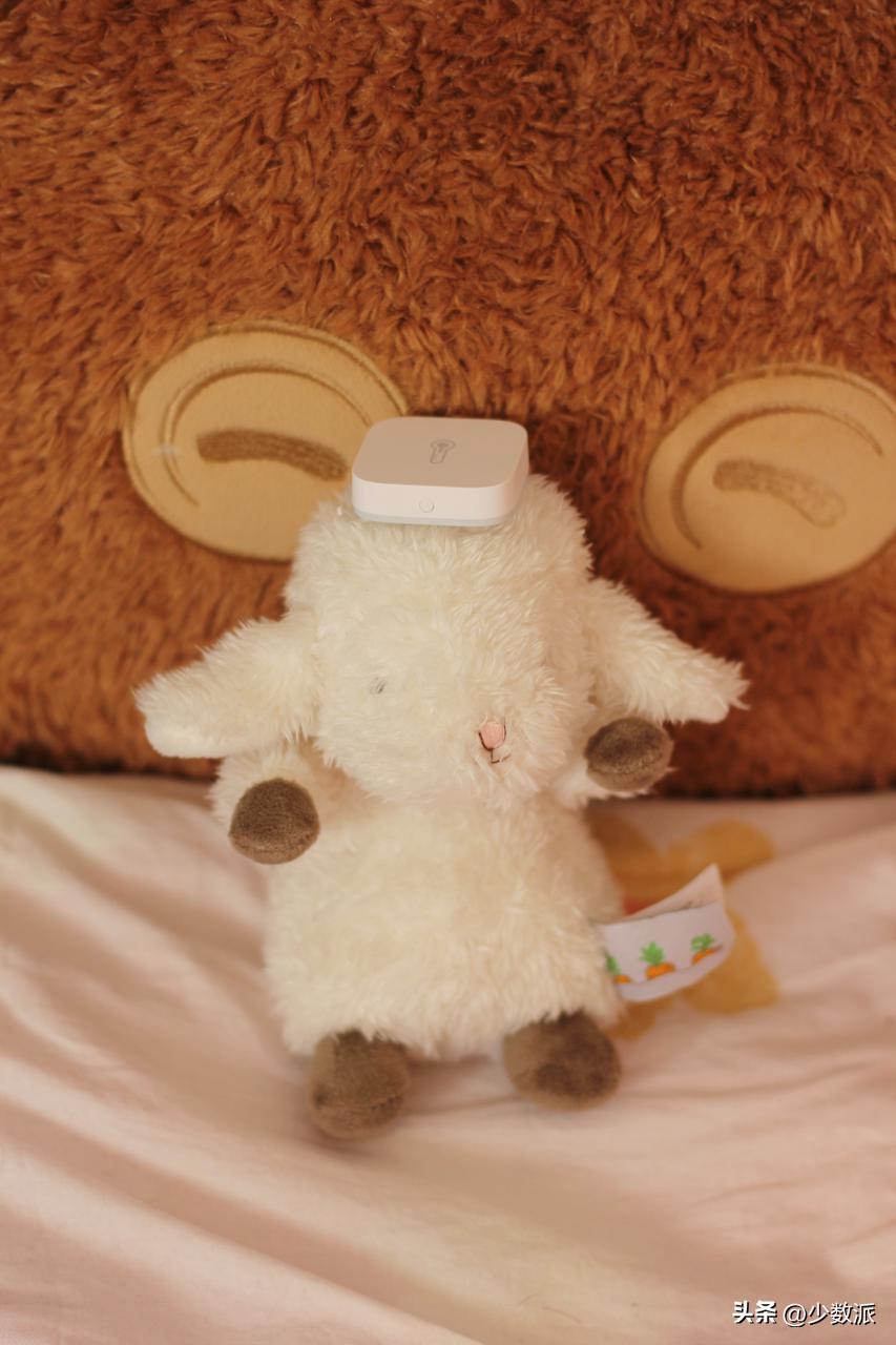 为什么要选择米家,米家优势