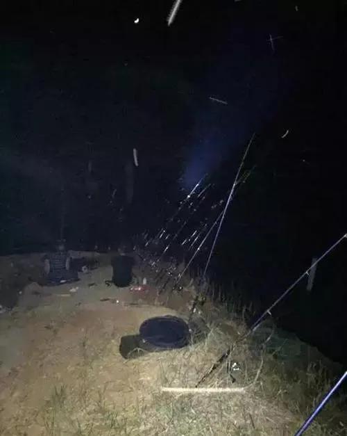 大河钓鲢鱼技巧,大河钓鲶鱼的经典方法