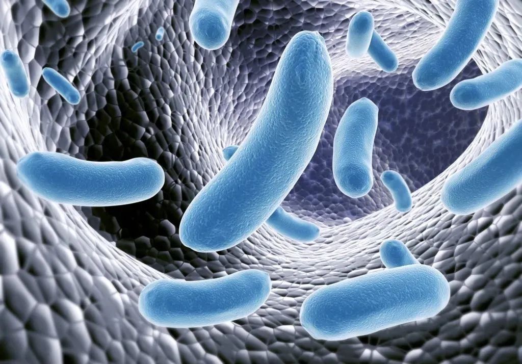 特别严重的宫颈炎该怎么办,宫颈炎到底要怎么预防啊