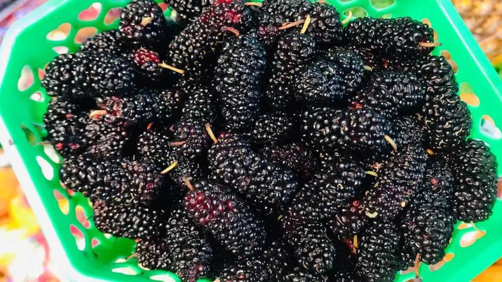 新手水果店开业活动方案怎么做的,水果店开业搞活动的营销策略