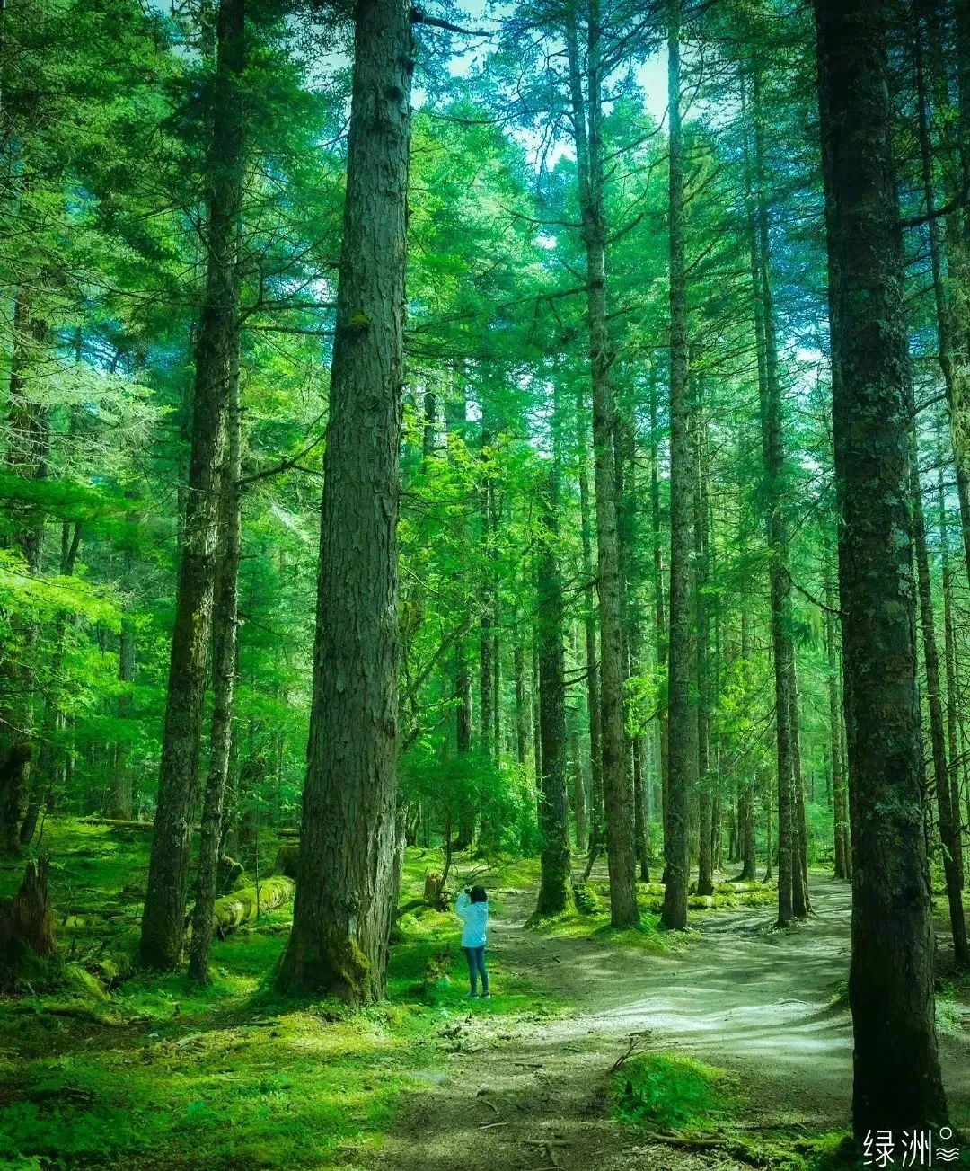 藏西攻略,藏西小众秘境