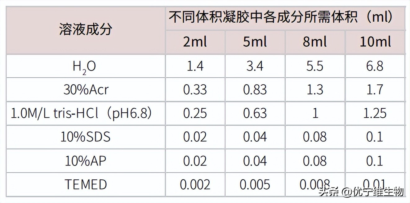 真核原核生物细胞壁,真核生物标记基因