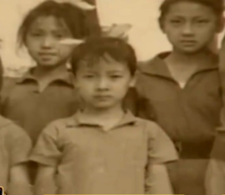 陈小艺是什么地方的人,陈小艺生活作风