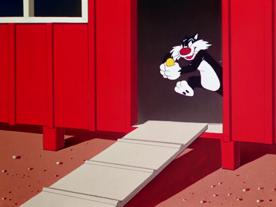 被虐的猫满嘴糊糊,可爱猫咪被虐动画