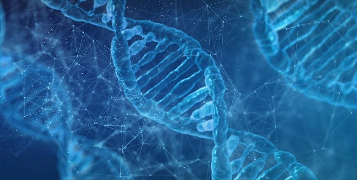 扦插月季添加微生物菌剂有好处吗,加入生根粉和多菌灵的土能种菜吗