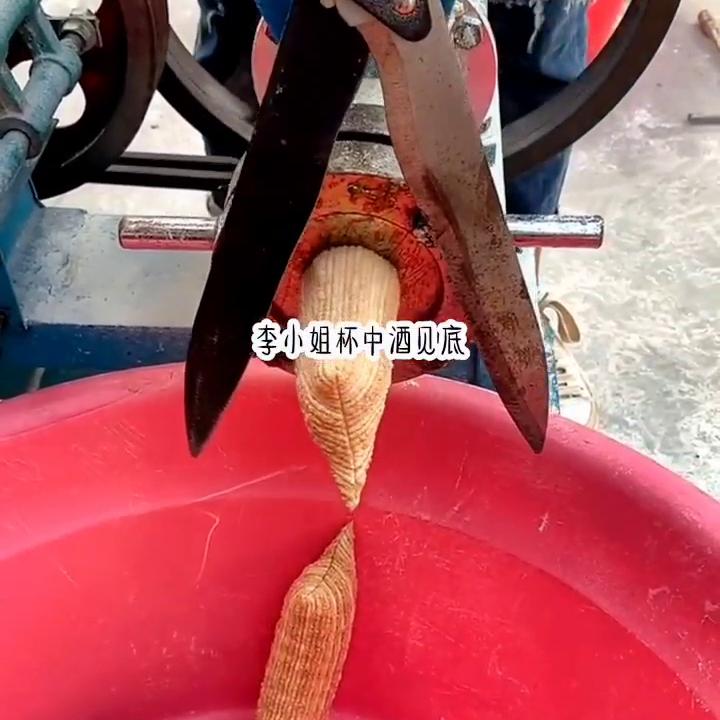 佣人小说推荐,佣人小说免费观看