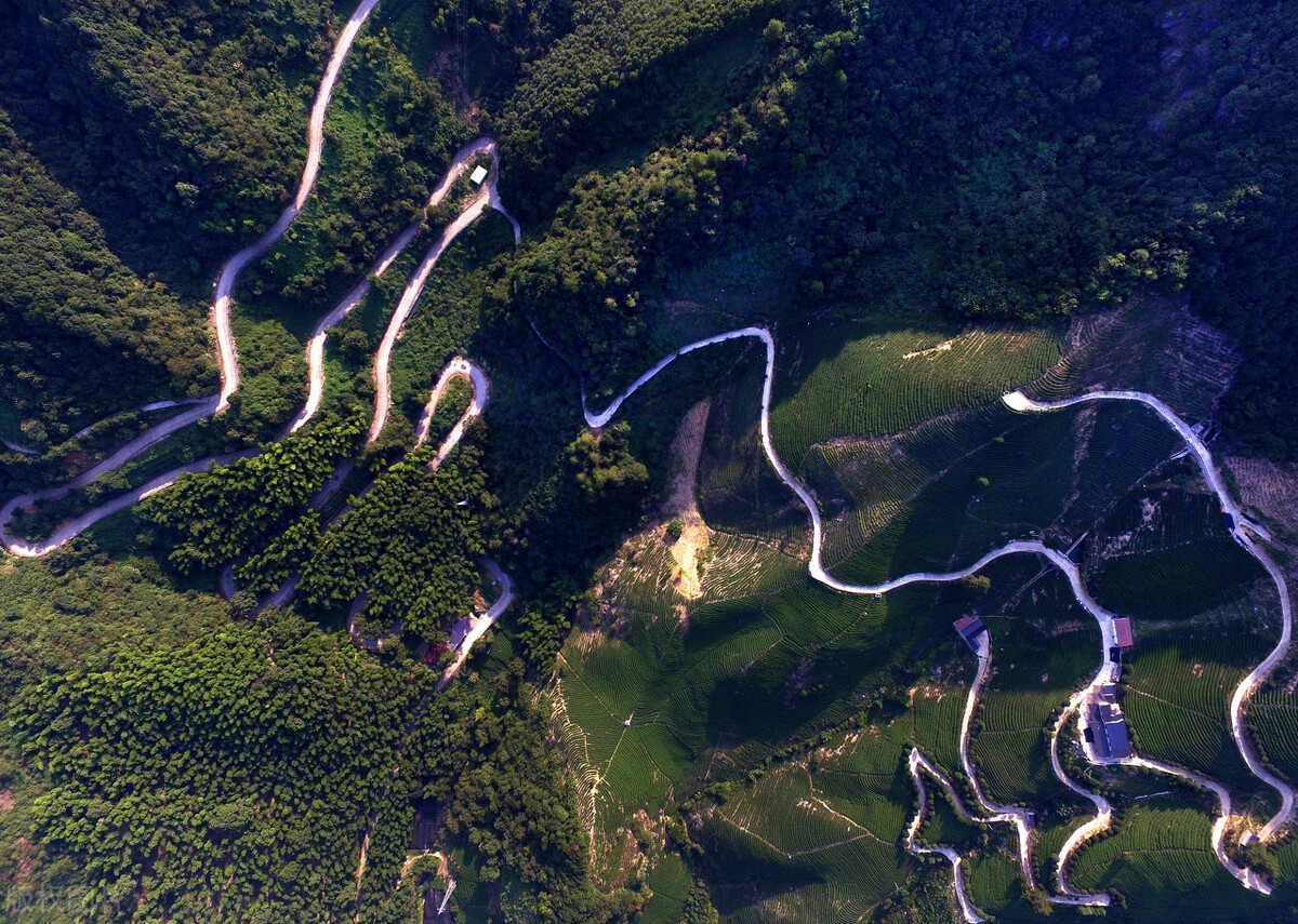 a站好看的电影推荐在线观看,爱奇艺有什么好看的电影推荐