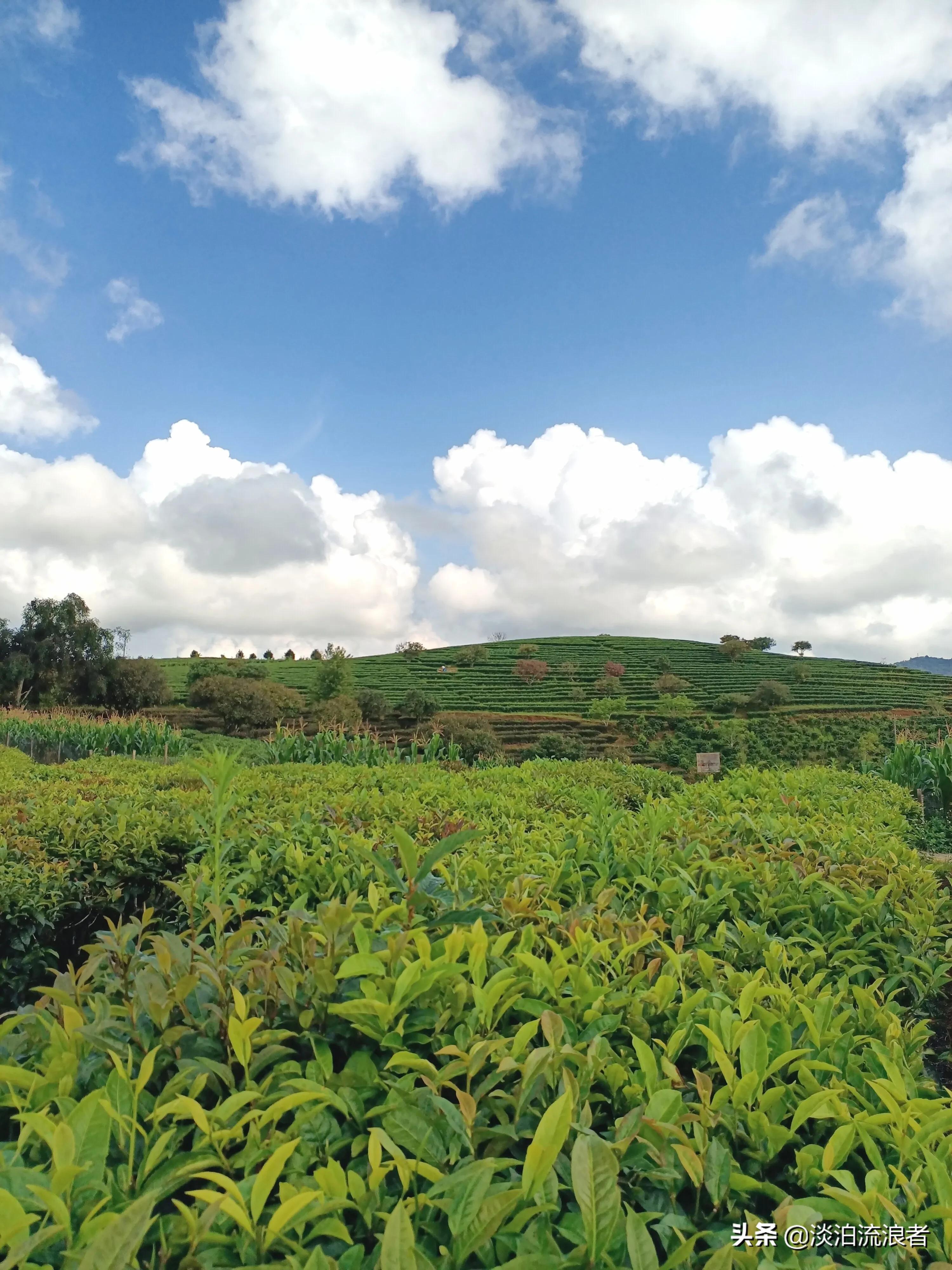 得闲去散散步,散步去云南