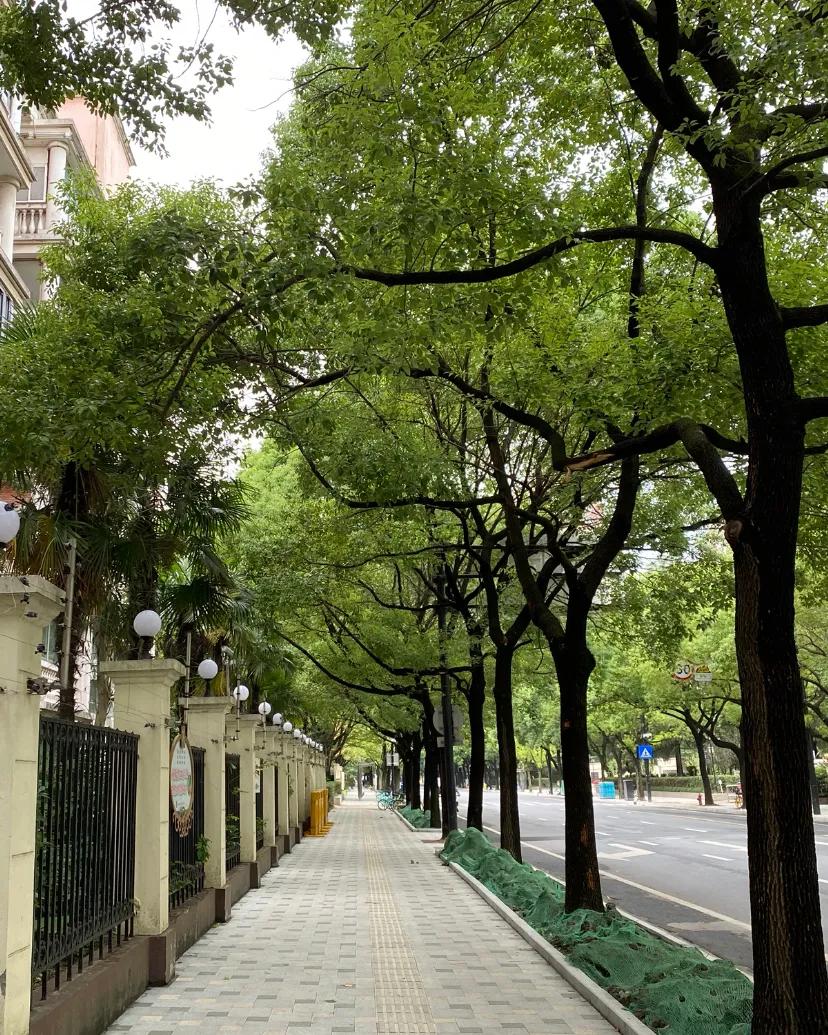 我爱我家我爱祖国诗歌,我爱我家我爱我的祖国