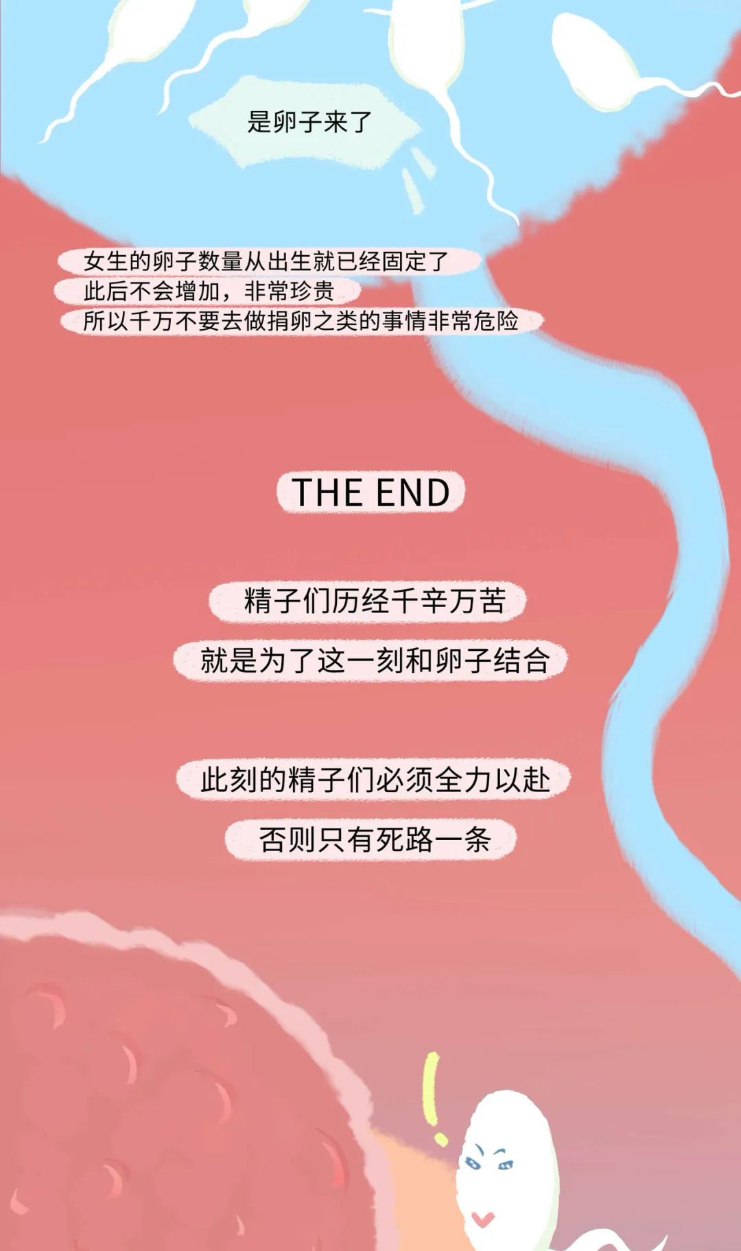 漫画：精子进入女生体内的全过程曝光！别害羞，早知早受益