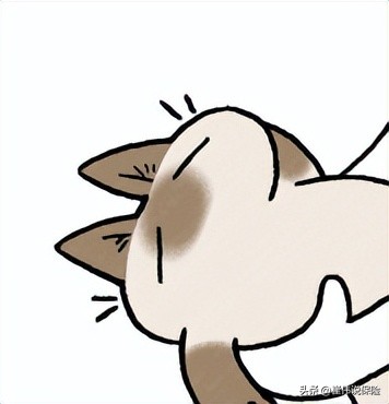 大厂出品必属精品,官方出品必属精品