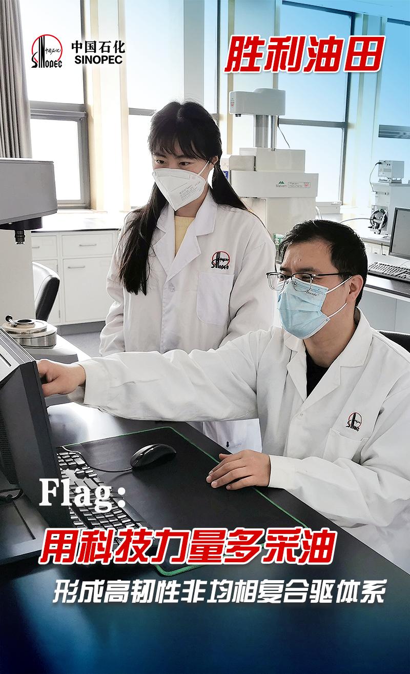 中国石化企业的现状,中国石化国内最新项目