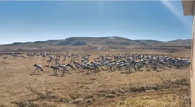 马上放暑假了，打算去哪里玩：昭通大山包