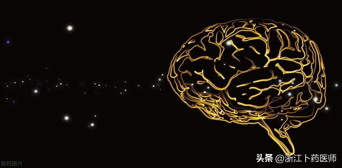 为什么说肠道是人类的第二个大脑,肠道神经系统是第二大脑吗