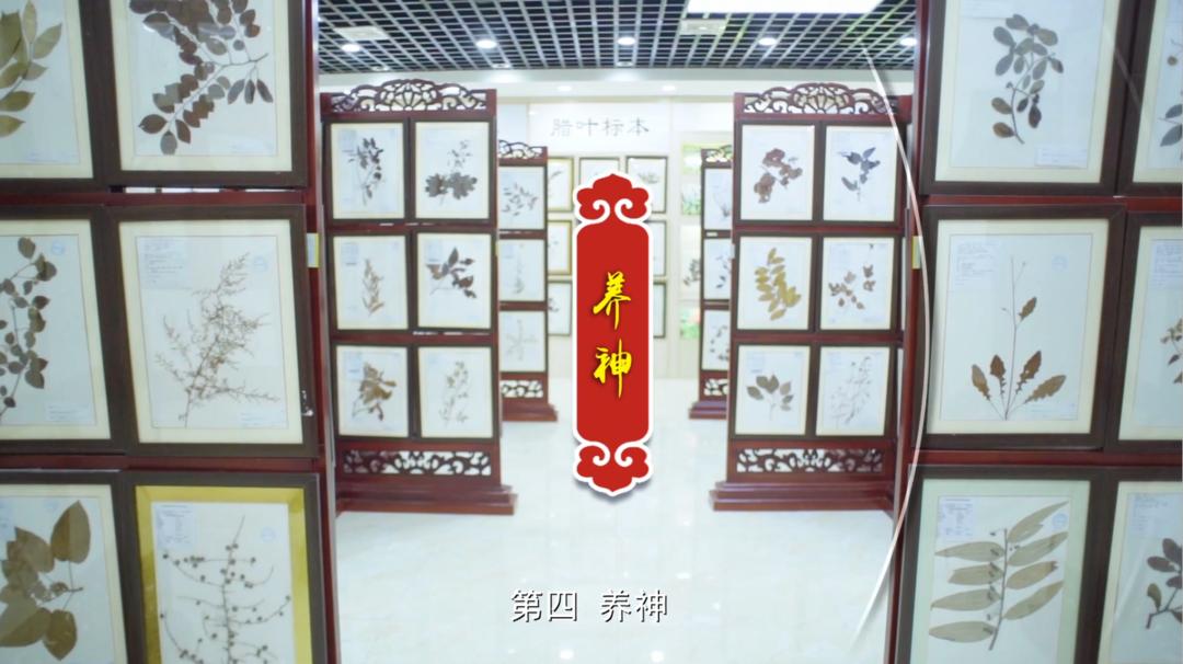 中医备孕小知识,中医科普备孕