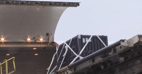 大熊猫香香回国香香出生,大熊猫香香回国后首次露面