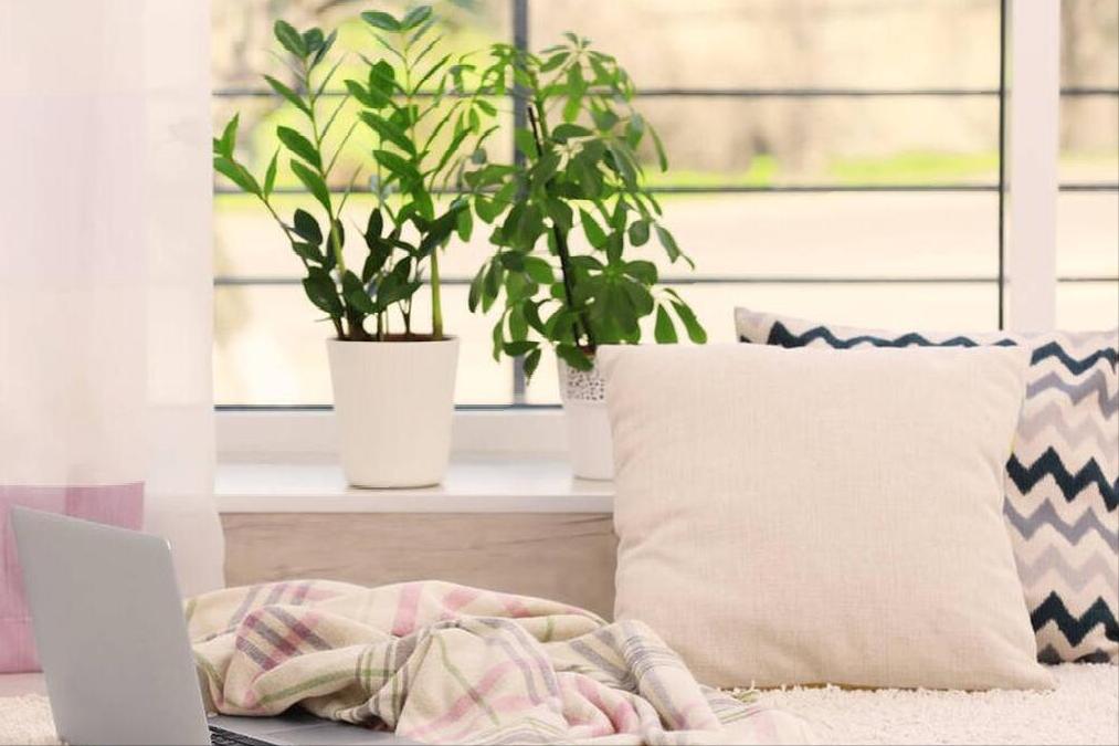 如何才能快速提高文章阅读量,文章怎么提高阅读量和展现量