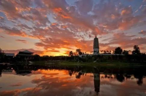 沈阳无垢净光舍利塔是谁的舍利,沈阳无垢净光舍利塔历史