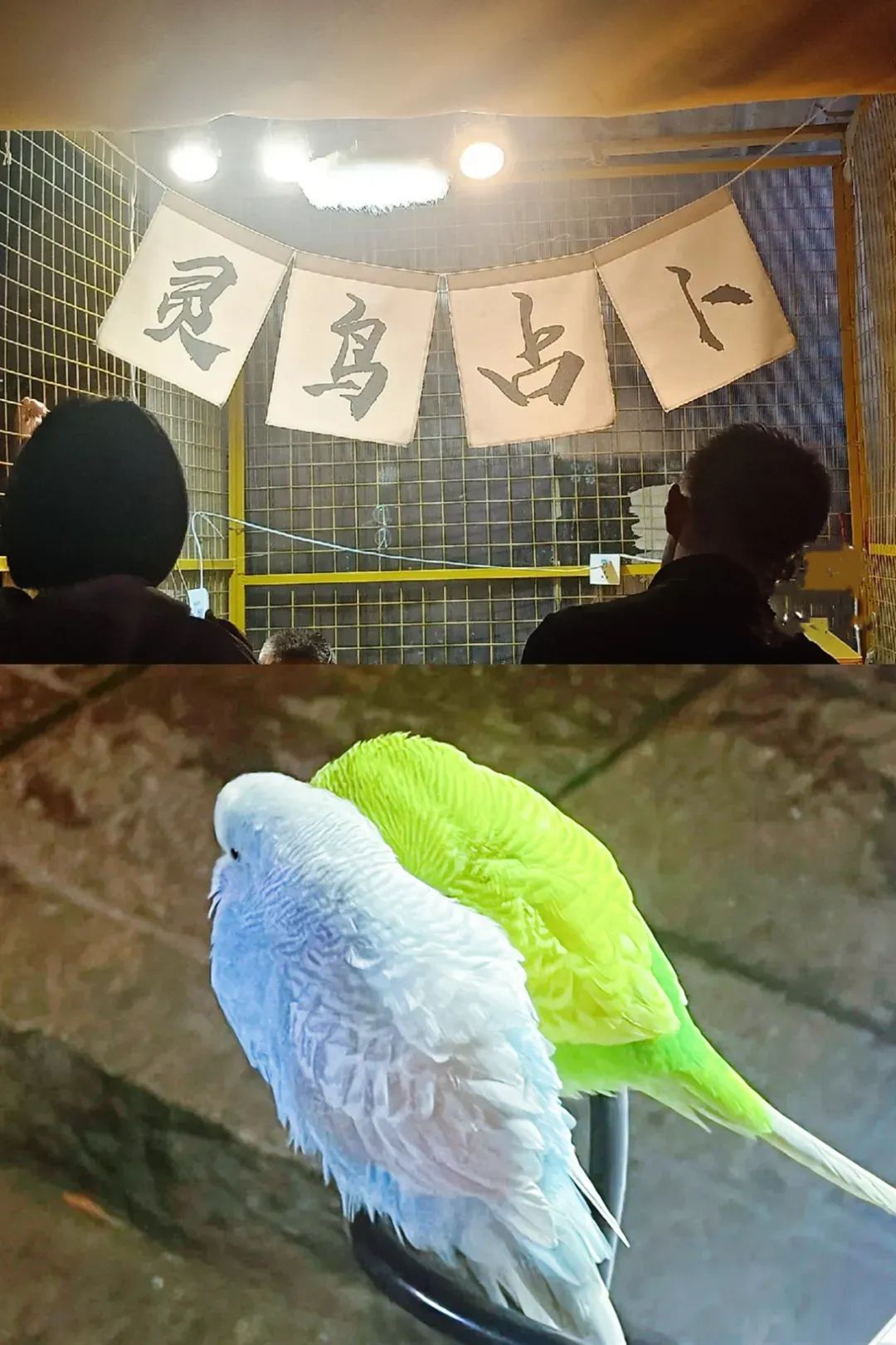 夫妻摆地摊月入90000,95后夫妻摆摊日收入9000多元