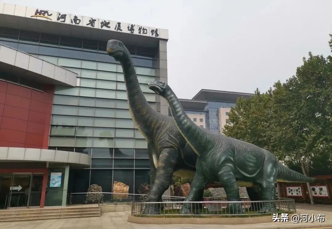 郑州好玩的艺术展,郑州室内免费场馆