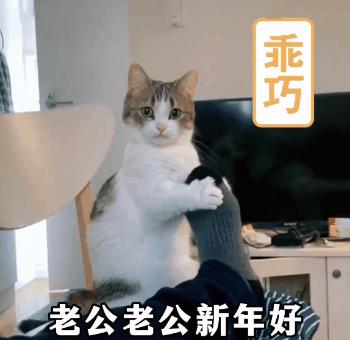 抖音黑人老嫂子搞笑表情包合集