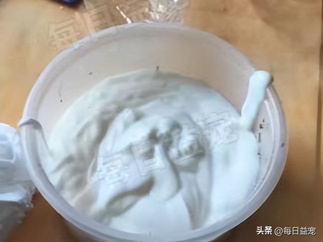 金毛调皮咬破酸奶，主人心软整盒赏给它，结果家里就变成这样了