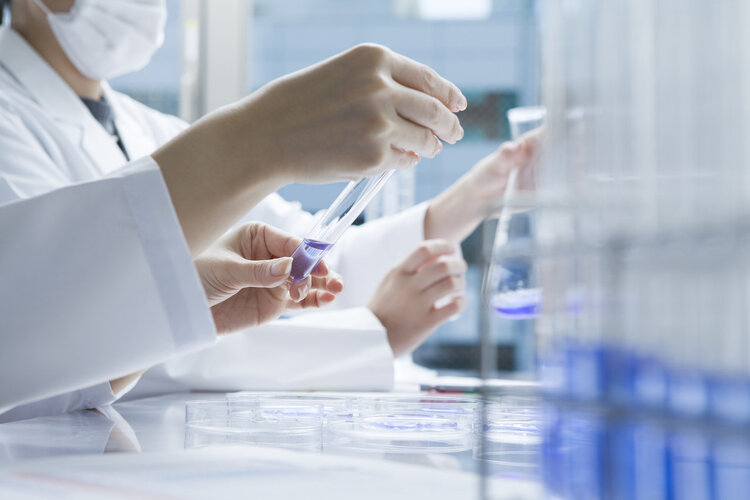 青蒿素攻击癌细胞靶点 (青蒿素杀癌细胞)