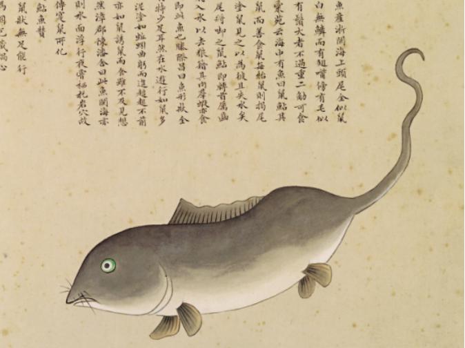 无穷小亮的科普日常海洋生物,无穷小亮的科普日常美丽的海洋25