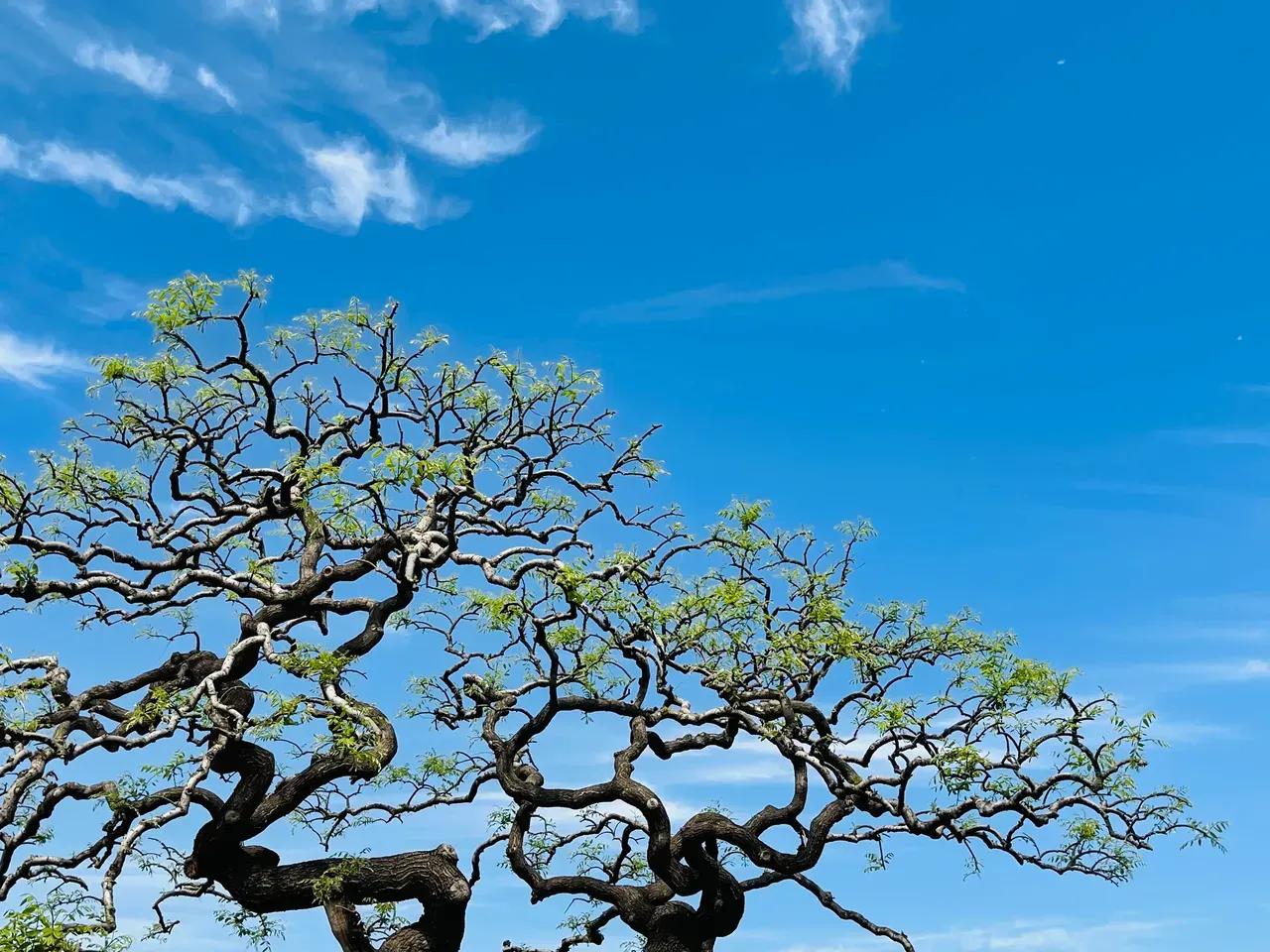 宁西高铁河南十四五高铁规划,宁西高铁纳入十四五规划了吗