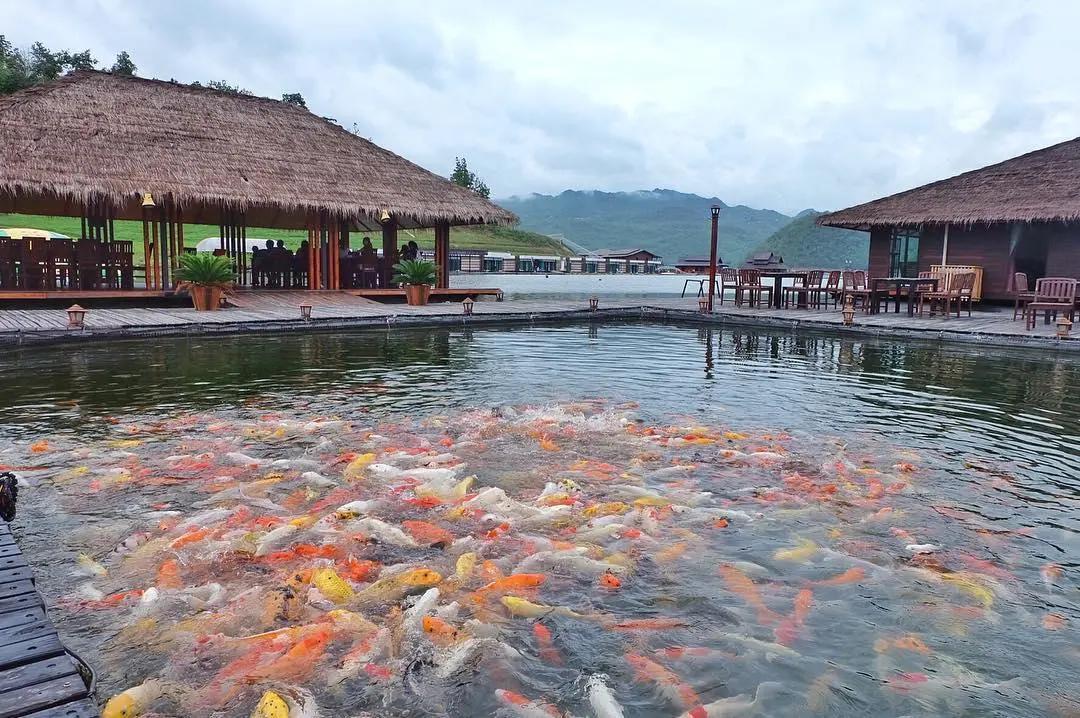 离曼谷市区最近的酒店,曼谷具有原始气息的五家酒店