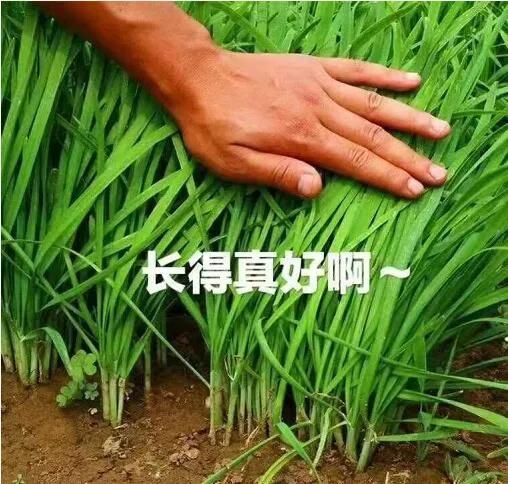 下周全球股市大事,今天全球股市大盘行情