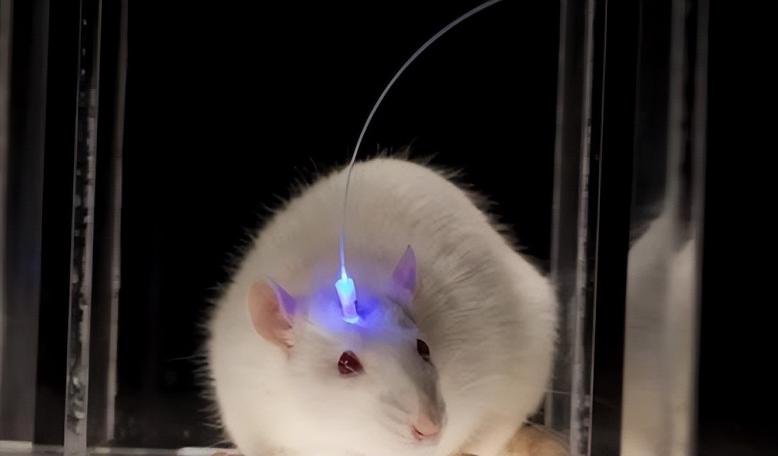 美国大脑控制实验,美国科学家徒手核试验