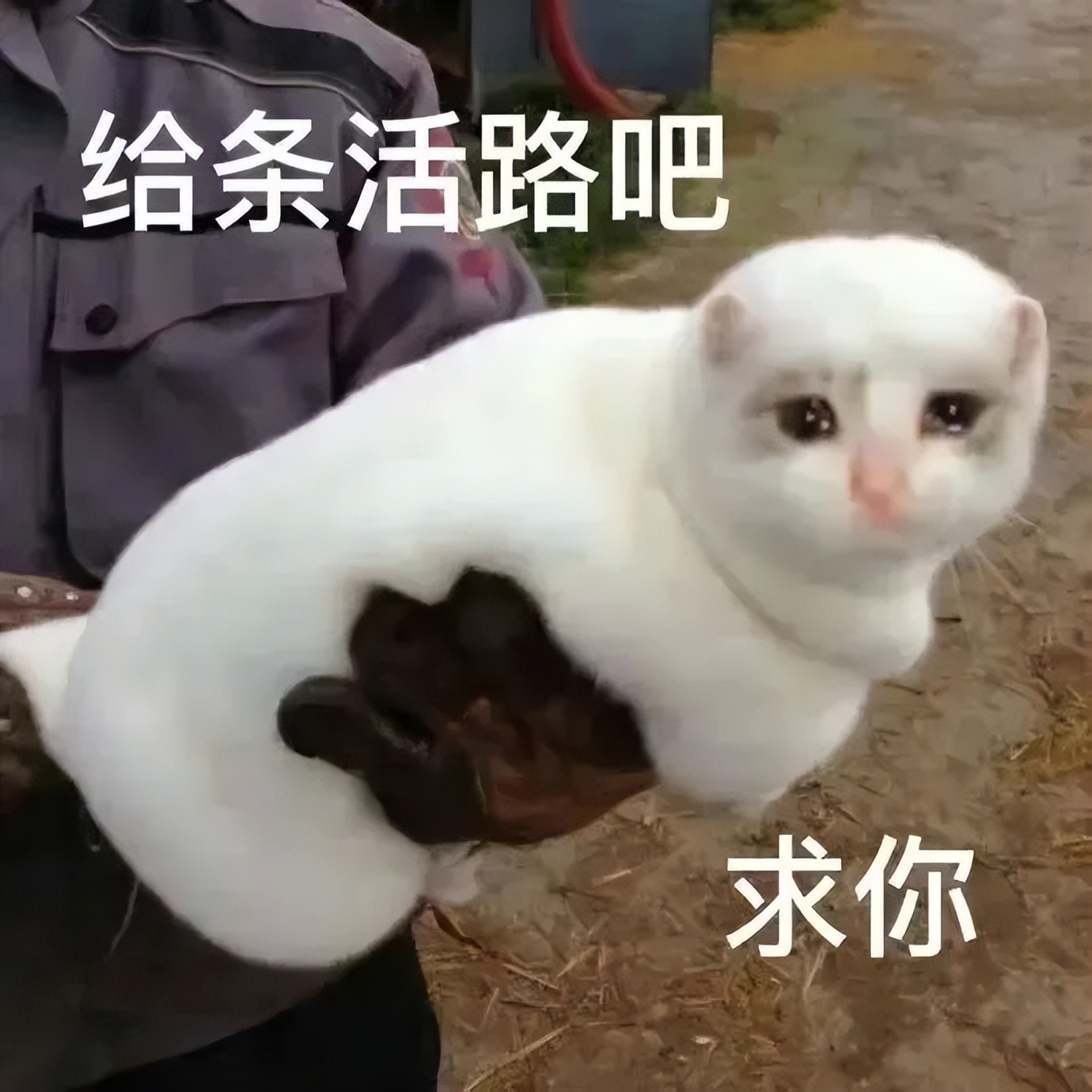 把老公的自拍照细节放大后，场面太刺激！哈哈哈哈