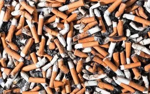 烟头真的可以回收利用吗,日本为何收购我国废烟头