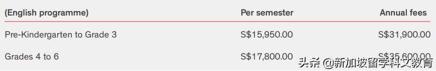 小文带你走进不一样的世界,新加坡国际学校和英国国际学校
