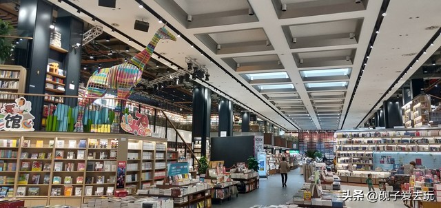 龙岗区沿路景点介绍,深圳龙岗区室内游玩攻略景点大全