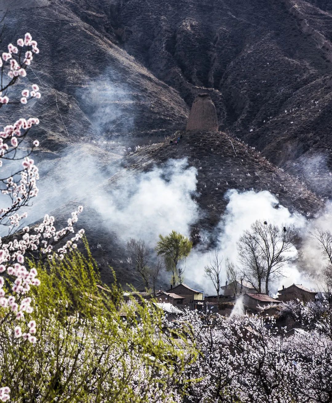 迎接党的20大美术作品,喜迎二十大乡村摄影展