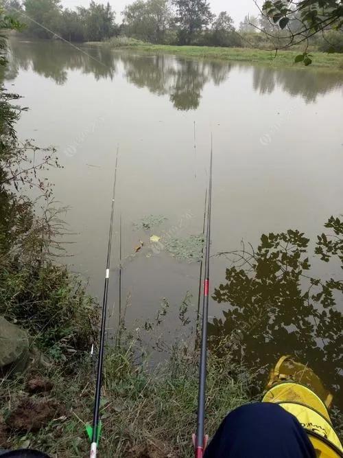 绉嬪娴佹按娌抽亾宀斿彛鎬庝箞閲庨挀,閲庢渤璧版按璺戦搮閽撴硶