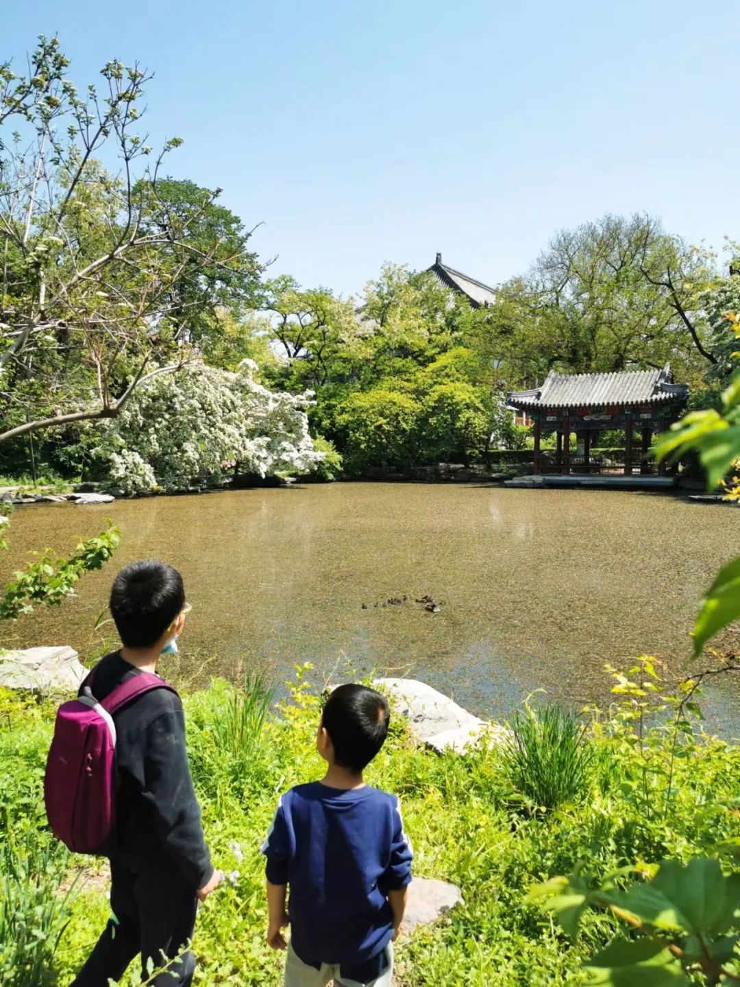 儿子一年长10厘米就是瘦怎么回事,儿子一年长高12厘米