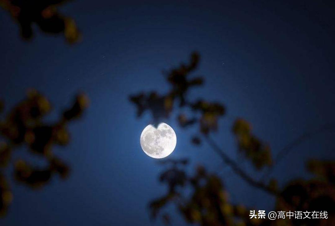 写秋月美景最好的古诗句,赞美秋月夜景的古诗词