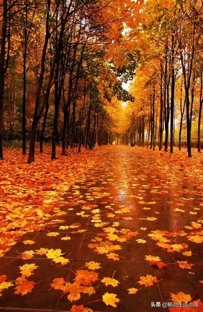 2022年的年景预测,预测2022年什么年景