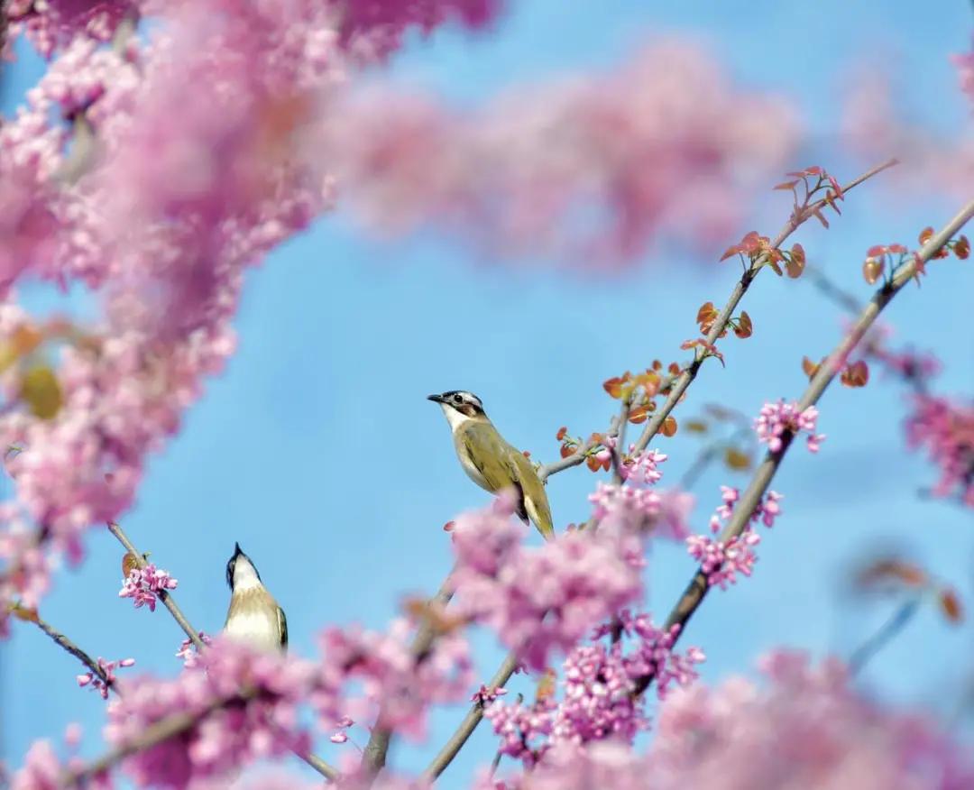 爱看南阳㉟你好2022，再见2021